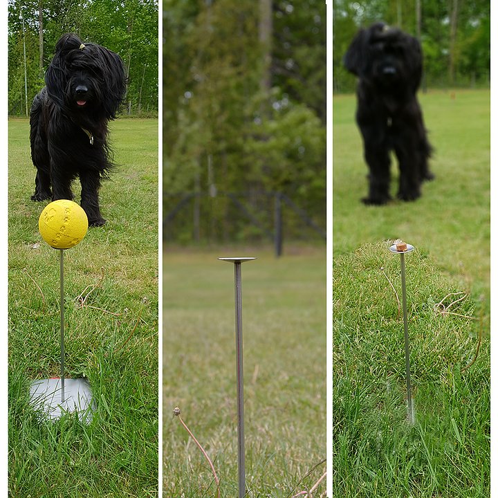 Target Pind Til Fremsendelse - Hundesportsudstyr