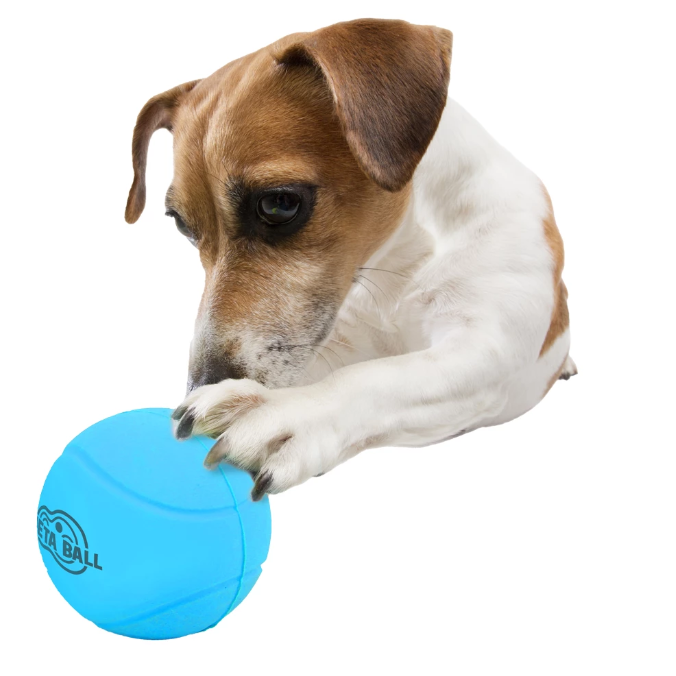AFP Meta Ball - Bounce & Rattle Ball