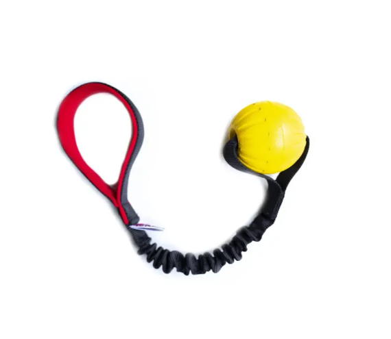 Agilitoy Sunshine Float