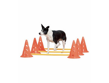 Pawise Agility Training Set. Cavaletti træning til hunde.