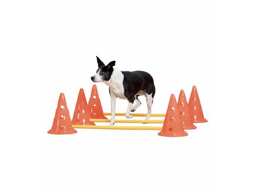 Agility