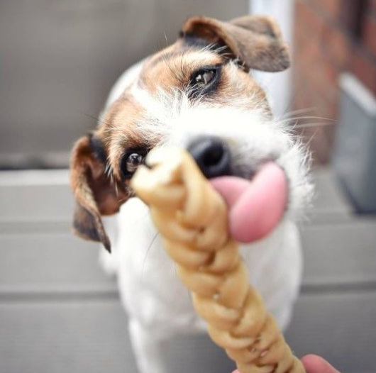 Flettet Hestehud - 100 % Natursnack til hund