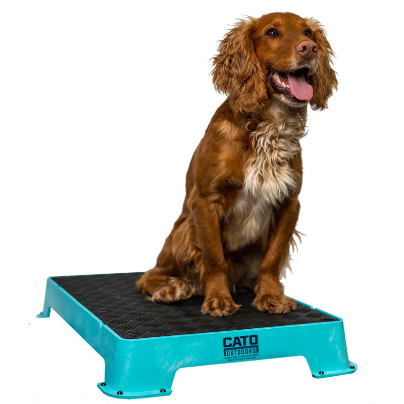 Cato placeboard - Platform til hundesport