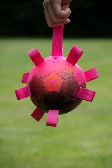 Dog Comets Hypernova - Bold til hunde - Findes i 3 farver