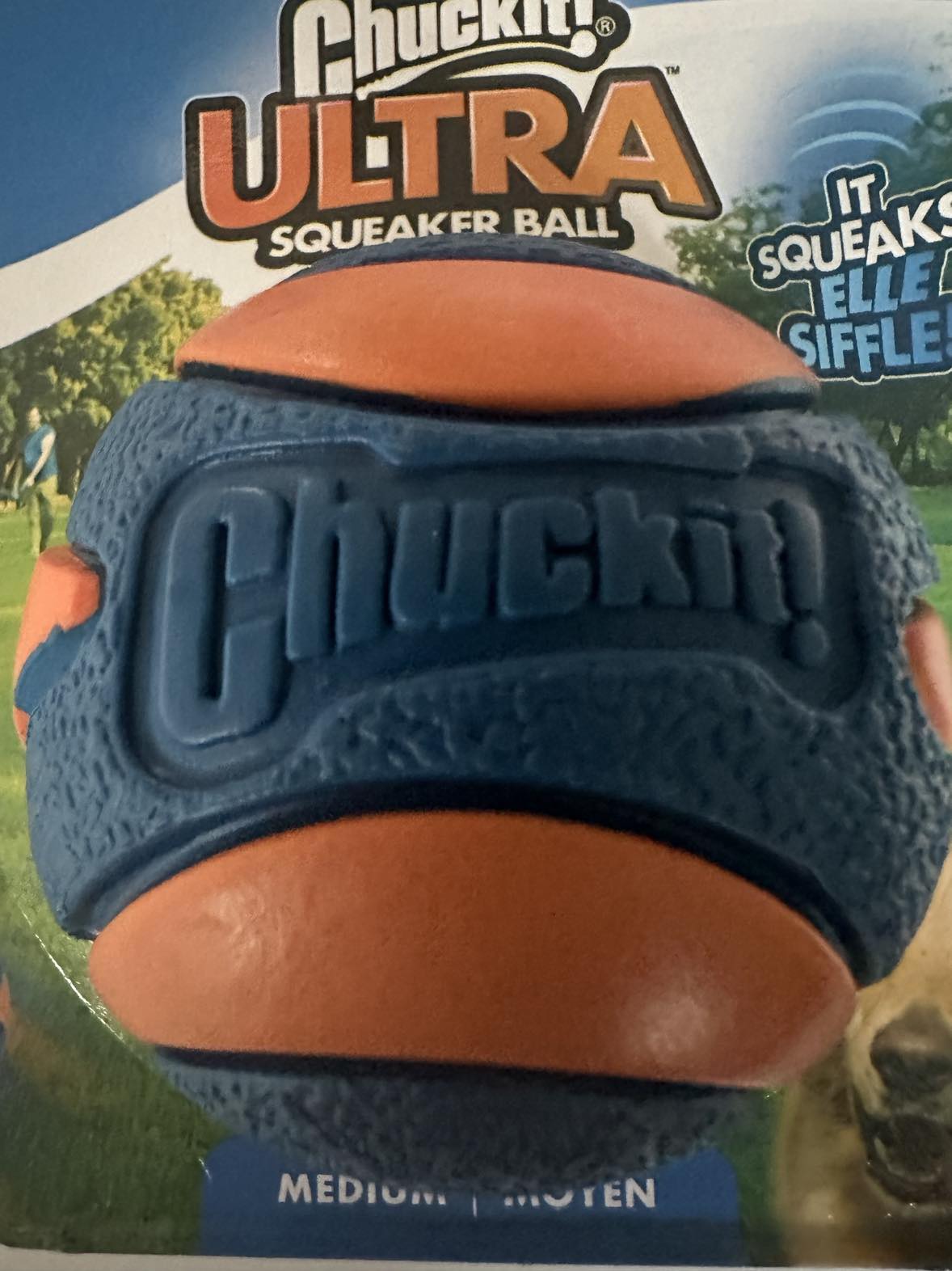 Chuckit Ultra Squeaker Ball