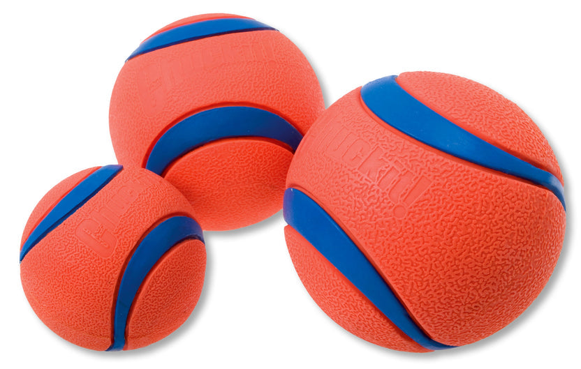 Chuckit Ultra Squeaker Ball