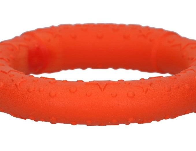 Dog Comets UFO Ring Ø19cm - Hundetræning