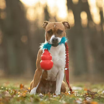 Doggie-Zen Bungee Fake Fur Tug L Bounzer - Legetøj til hundetræning
