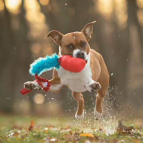 Doggie-Zen Bungee Fake Fur Tug L Bounzer - Legetøj til hundetræning