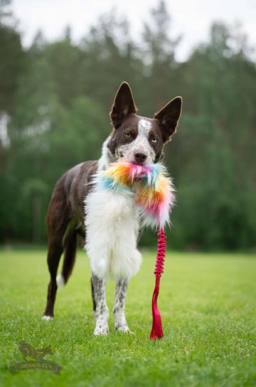 Doggie-Zen Bungee Octopus Tug L- Belønnigslegetøj