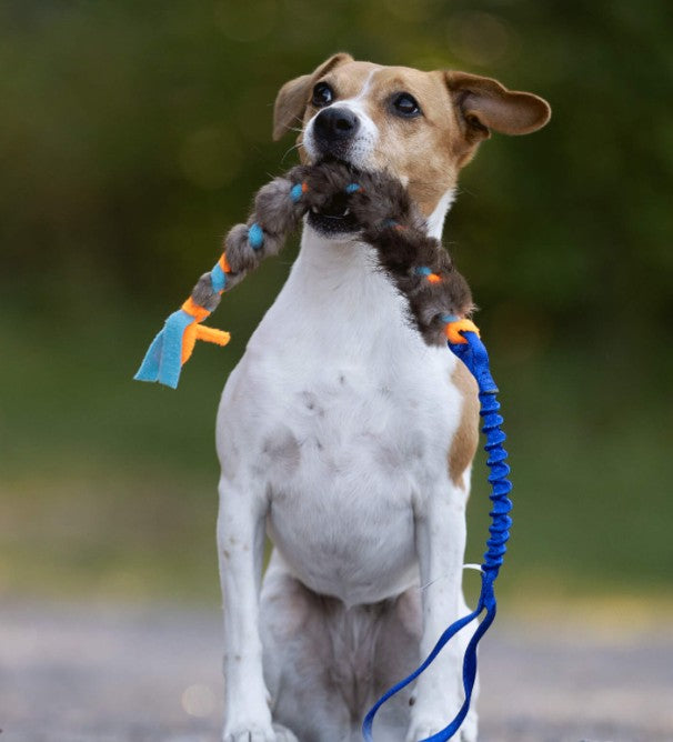 Doggie-Zen fleece og bæver Small -  Legetøj til hundetræning