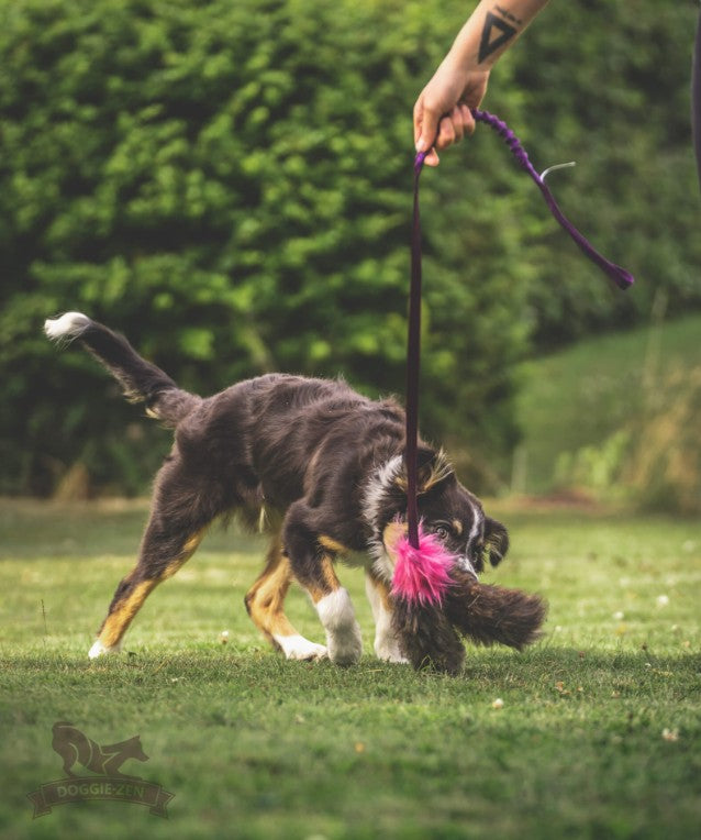 Doggie-Zen Octopus Sheepskind Chaser - Ekstra langt legetøj