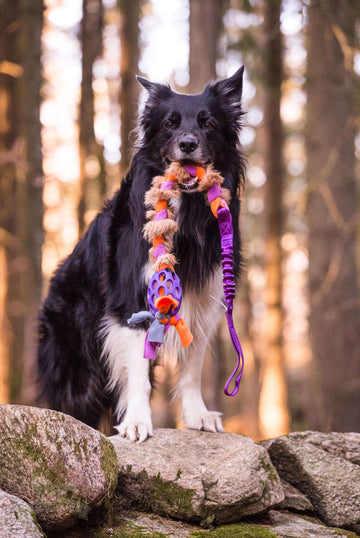 Doggie-zen Bungee JW Hol-ee Fleece and Rabbit Braid