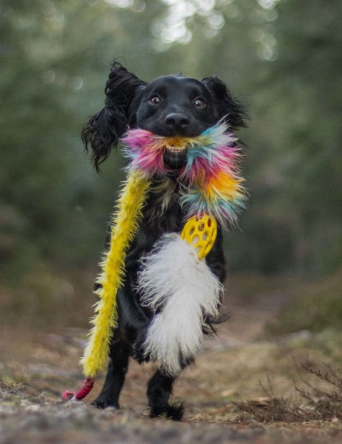 Doggie-Zen Bungee Hol-ee Comet Chaser - Ekstra langt hundelegetøj