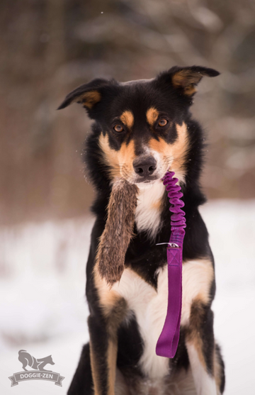 Doggie-Zen Beaver Tug L  - Belønningslegetøj