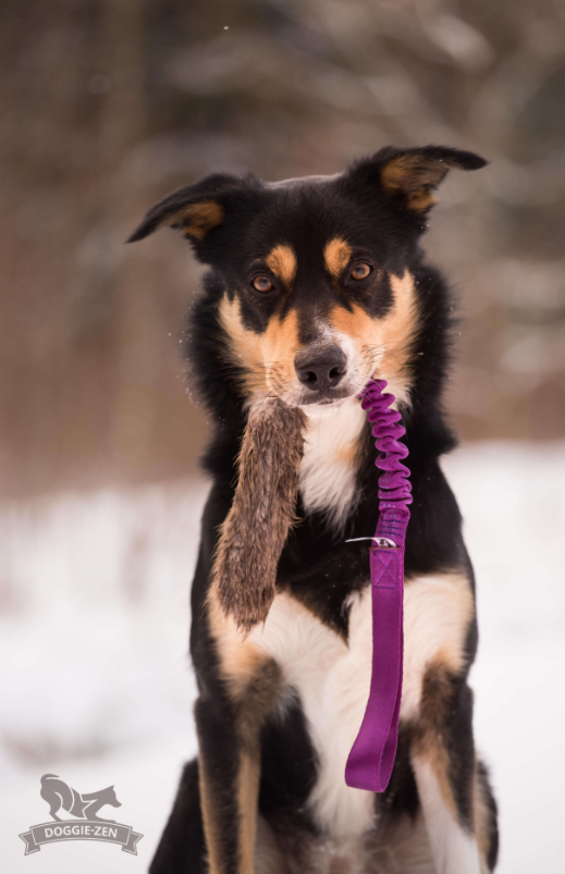Doggie-Zen Beaver Tug L  - Belønningslegetøj