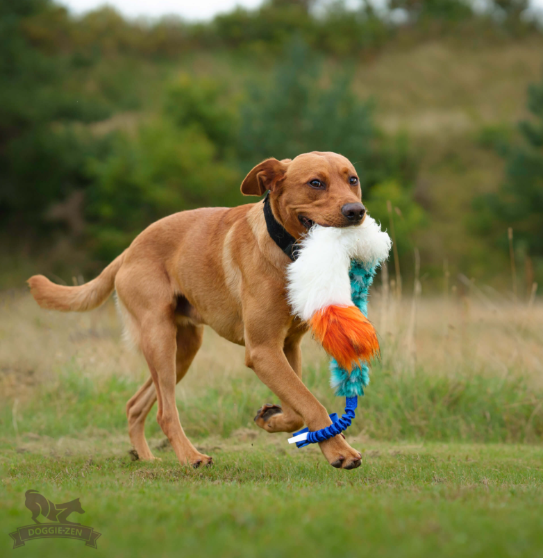 Doggie-Zen Sheepskin Chaser Tug L - Trækkelegetøj til træning