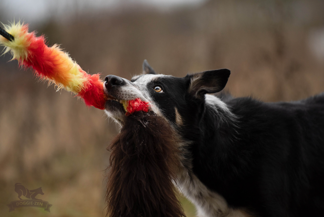 Doggie-Zen Sheepskin Chaser Tug L - Trækkelegetøj til træning