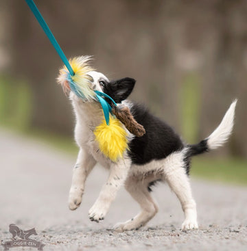 Doggie-Zen Octopus  - Belønningslegetøj med ægte pels