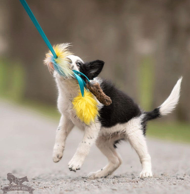Doggie-Zen Octopus  - Belønningslegetøj med ægte pels