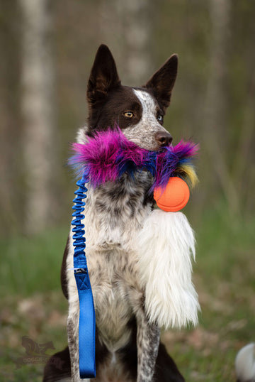 Doggie-Zen Dark Rainbow L-  Legetøj til hundetræning
