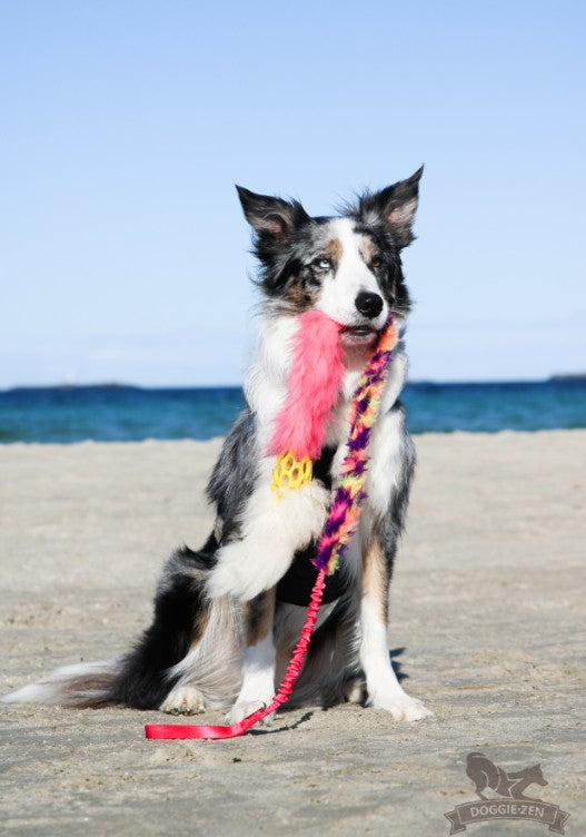 Doggie-Zen Bungee Hol-ee Comet Chaser - Ekstra langt hundelegetøj