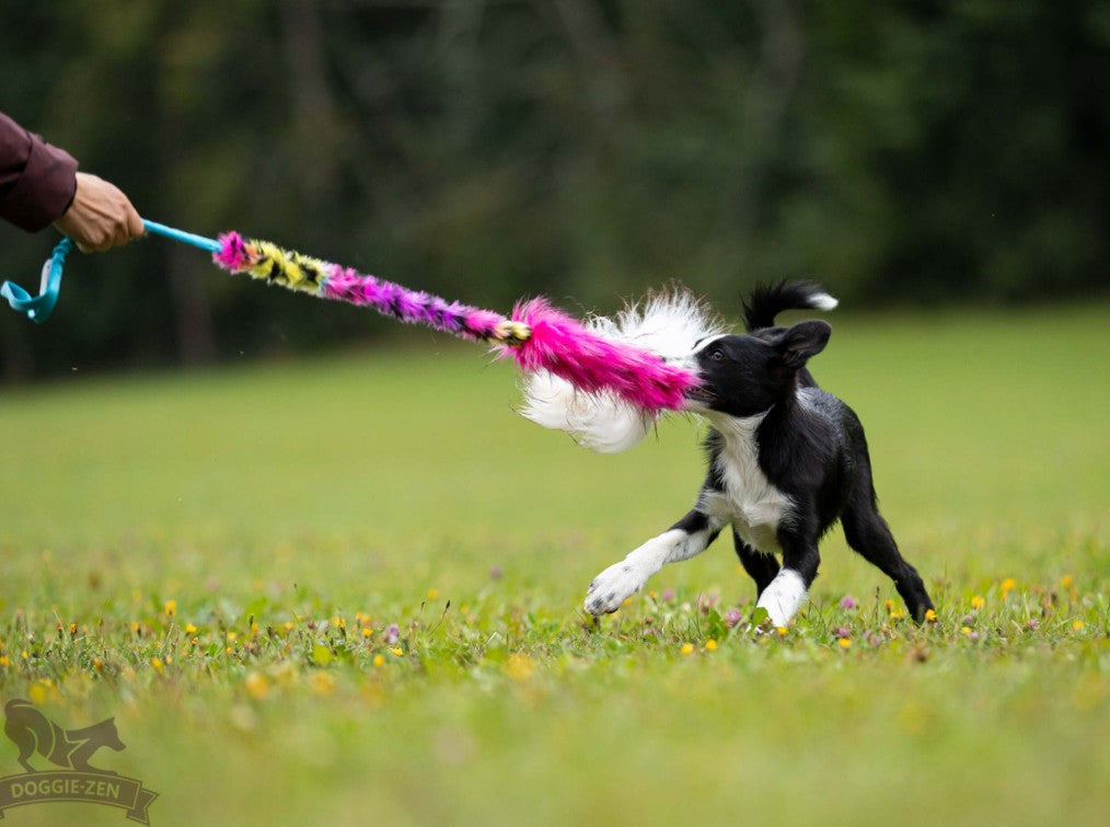 Doggie-Zen Bungee Hol-ee Comet Chaser - Ekstra langt hundelegetøj
