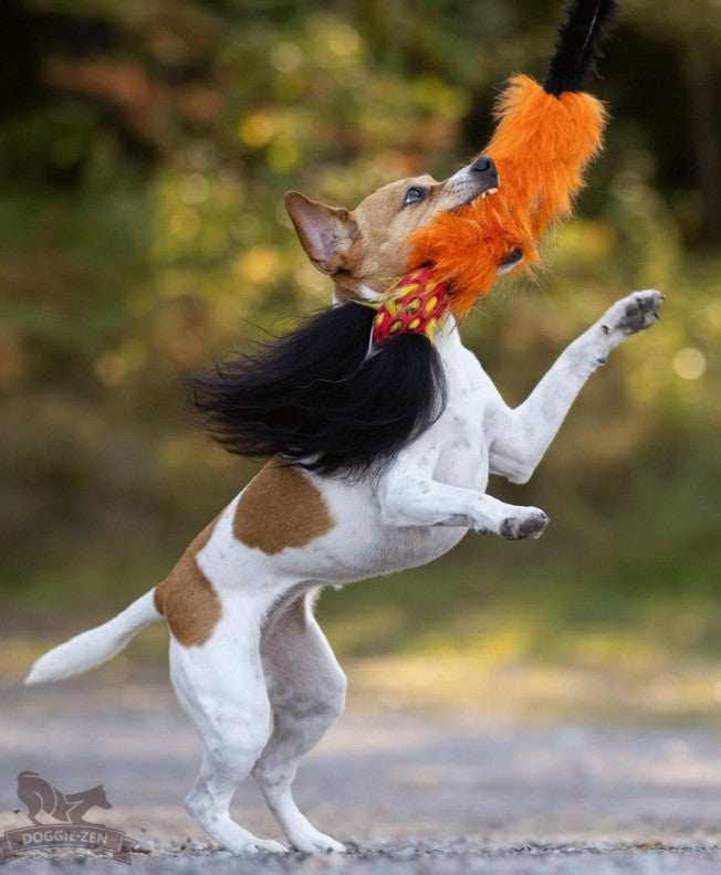 Doggie-Zen Bungee Hol-ee Comet Chaser - Ekstra langt hundelegetøj