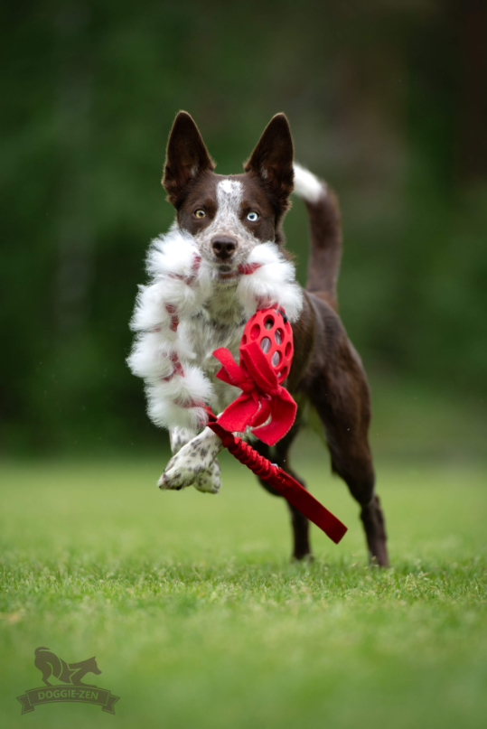 Doggie-Zen Elastic Hol-ee fleece and sheepskin -  Legetøj til hundetræning