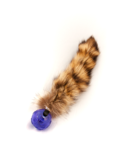 Doggie-Zen Raccoon Tail With KONG - Legetøj til hundetræning