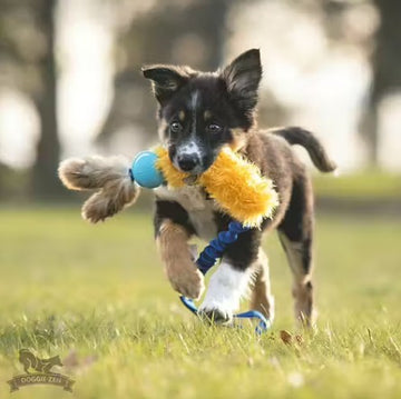 Doggie-Zen Chuckit og Kaninhaler - Belønningslegetøj med ægte kaninpels