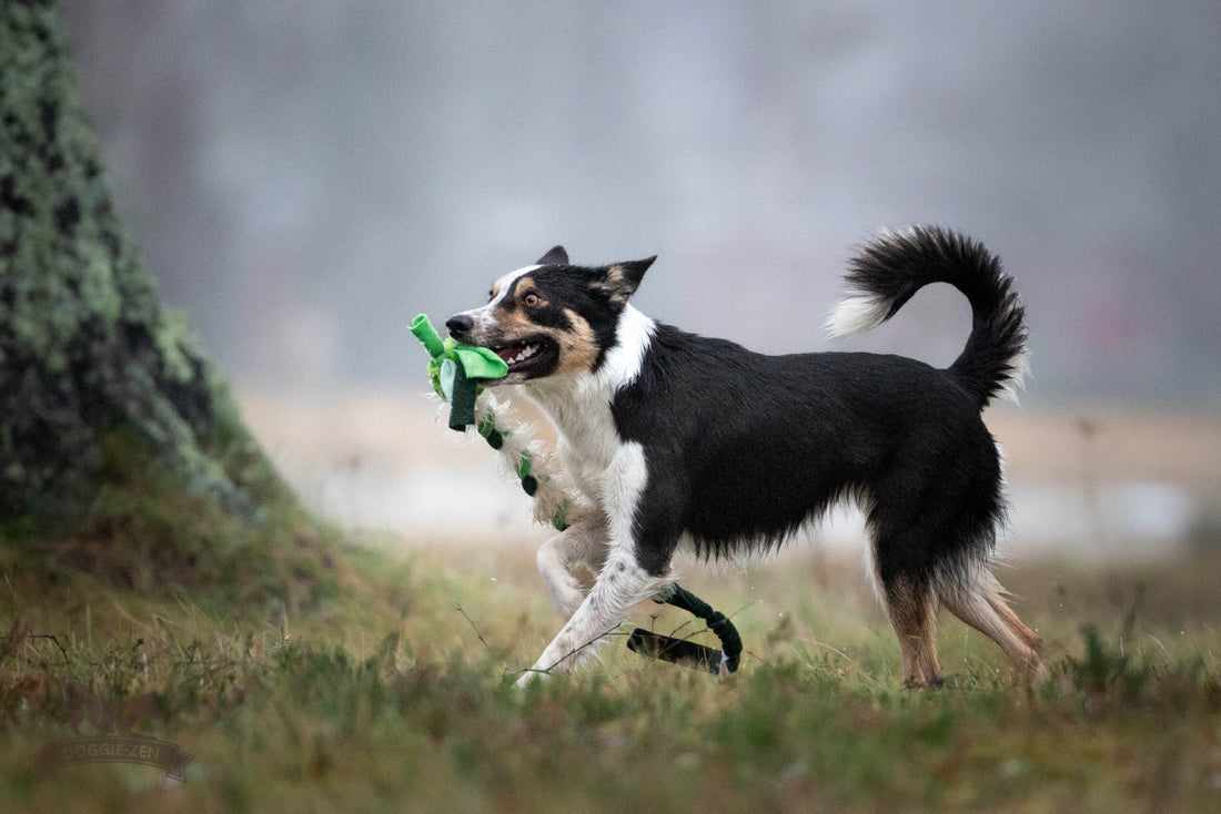 Doggie-Zen Elastic Hol-ee fleece and sheepskin -  Legetøj til hundetræning