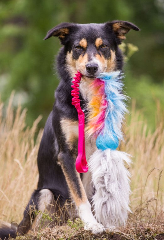 Doggie-Zen Kampis med Chuckit og lammepels
