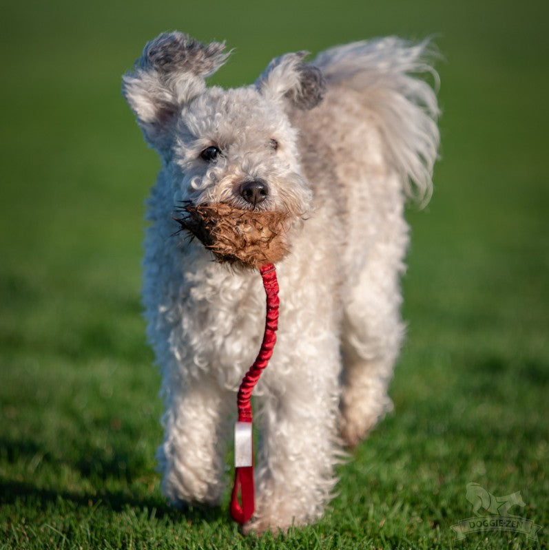 Doggie-Zen Rabbitball - Belønningslegetøj med ægte kaninpels