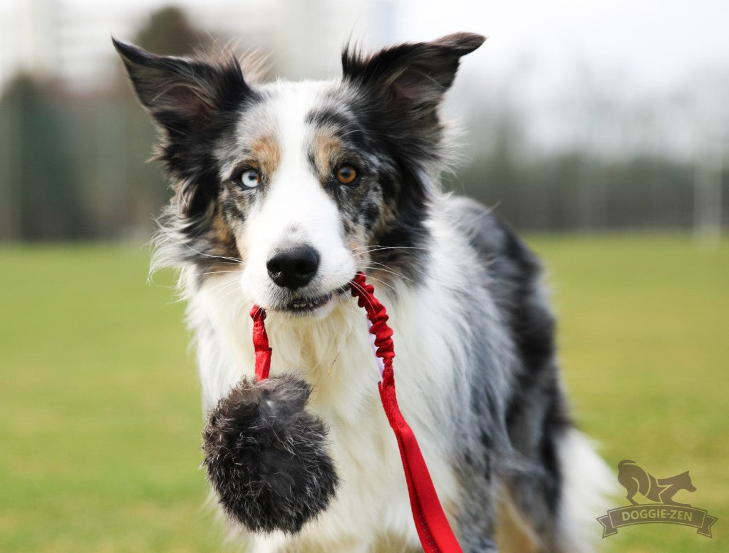 Doggie-Zen Rabbitball - Belønningslegetøj med ægte kaninpels