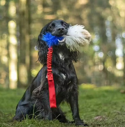 Doggie-Zen Elastic tricolor - Trækkelegetøj