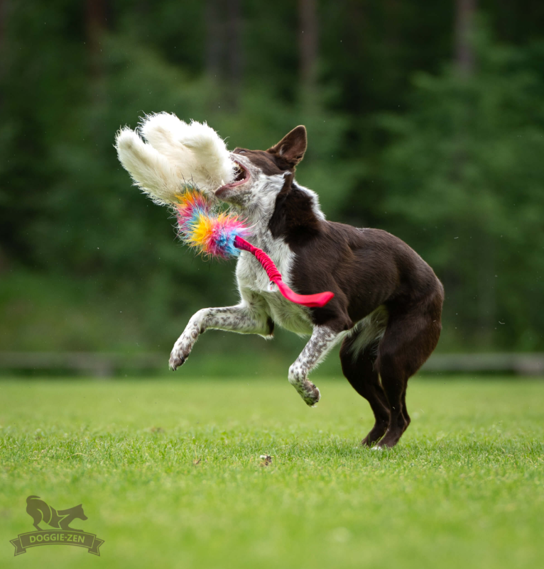 Doggie-Zen Bungee Octopus Tug L- Belønnigslegetøj