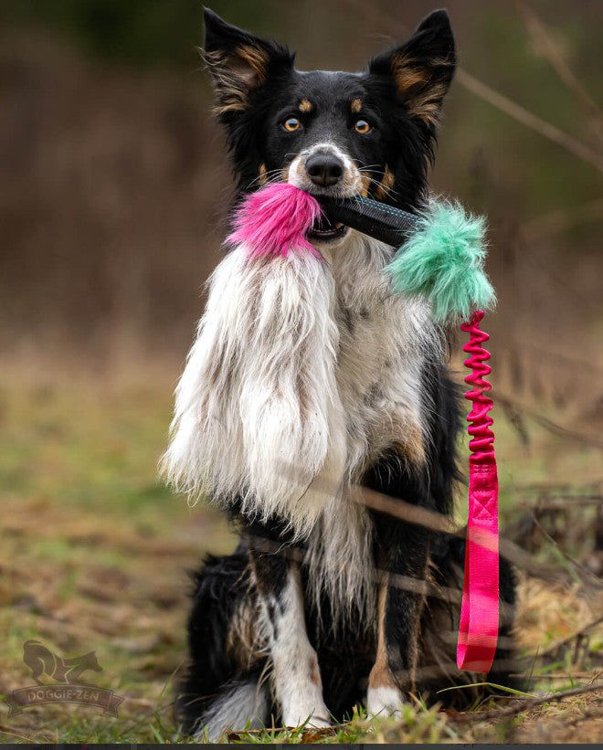 Doggie-Zen Bungee Pipkampis Tug L- Belønningslegetøj