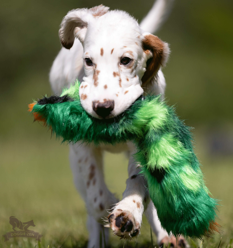 Doggie-Zen Squeaker Cactus - Træningslegetøj med PIV