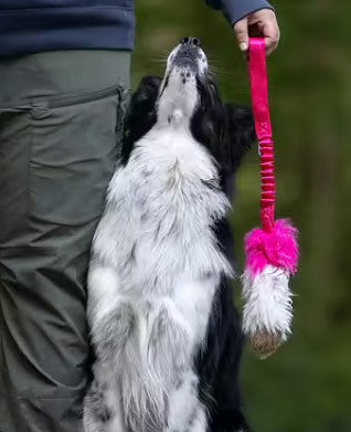 Doggie-Zen Elastic tricolor - Trækkelegetøj