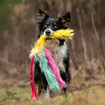 Doggie-Zen Bungee Octopus Tug - Legetøj til hundetræning
