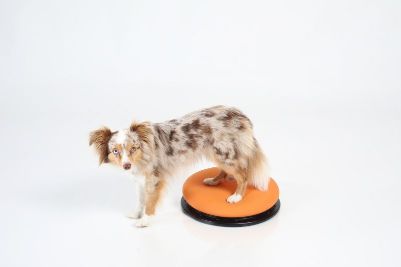TOGU Dynair® Pro orange