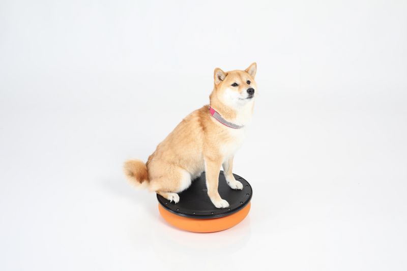 TOGU Dynair® Pro orange
