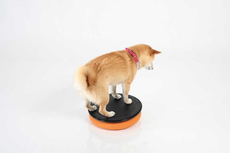 TOGU Dynair® Pro orange