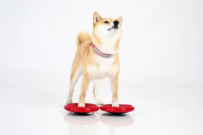 TOGU Dynair Twist Ø 20cm - Balancepude til hunde
