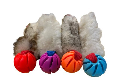 Fenriz Active Bungee with ball - Handmade training toy