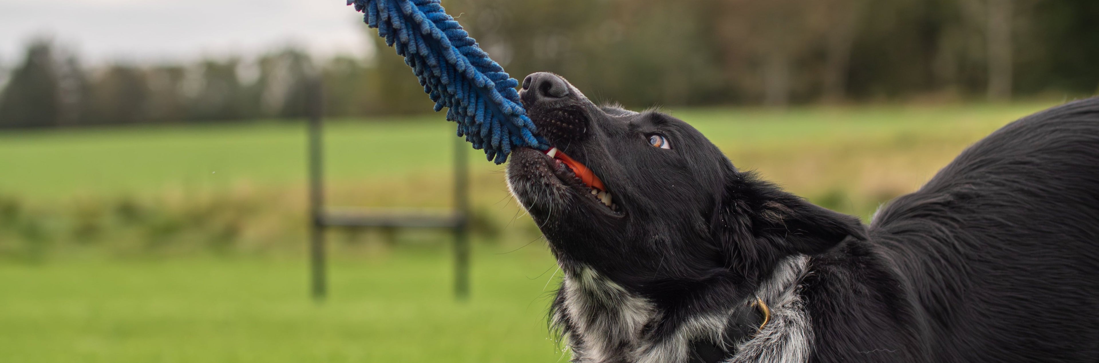 slider image 1621243260e1af0c20-0