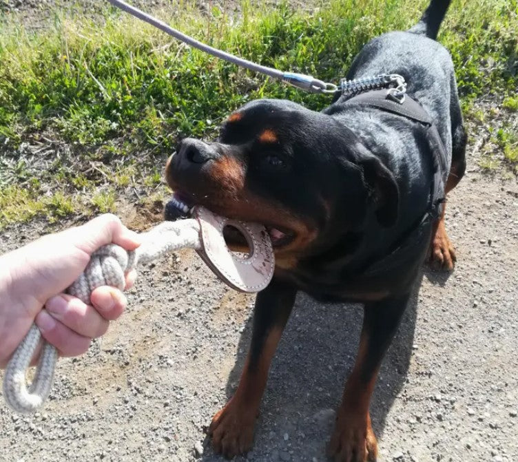 Funny Zoo Teething Ring with Strong Rope - Dog Toy