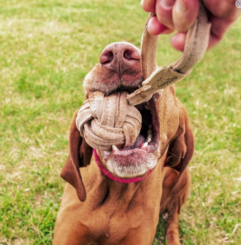 Funny Zoo Suede Ball with Rope - Dog Toy
