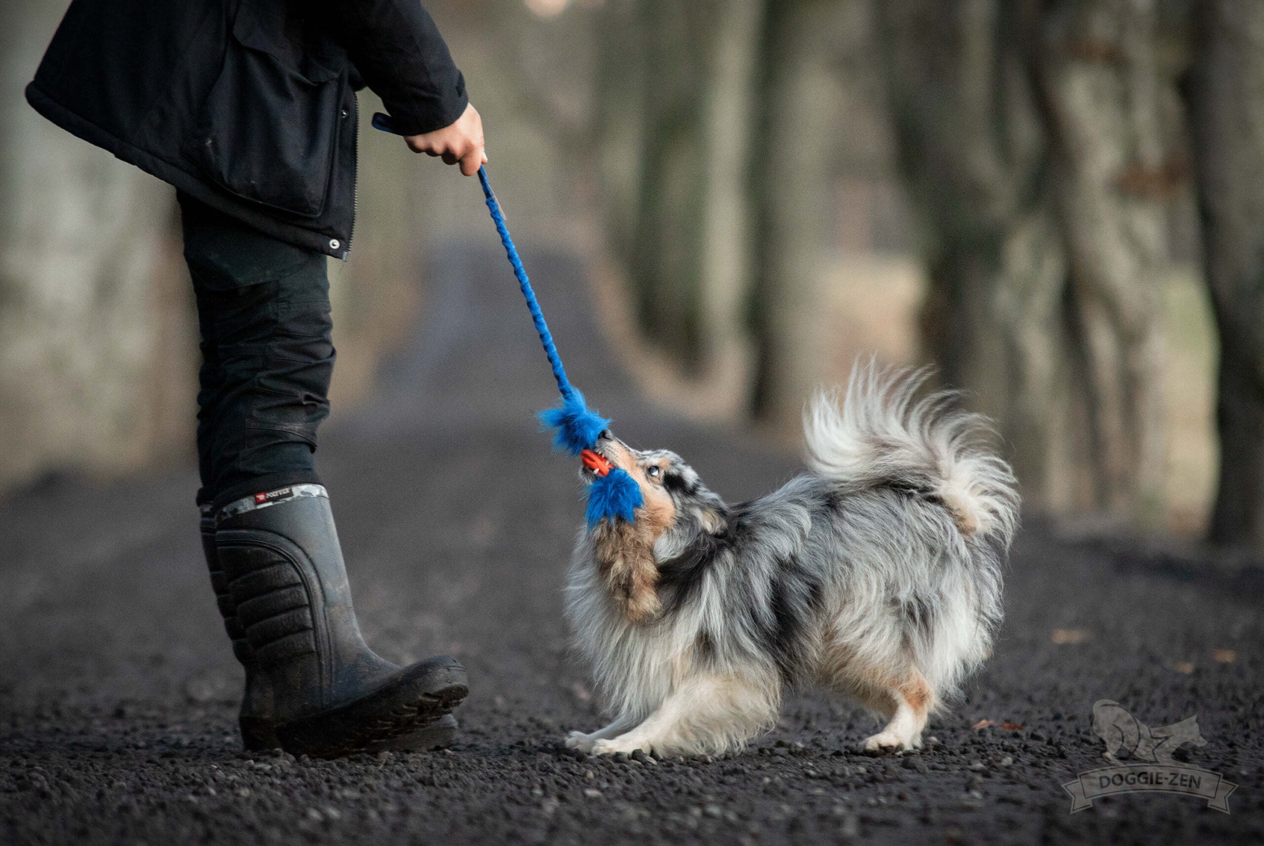 Doggie-Zen Chuckit Air Tug- Belønningslegetøj til hundetræning